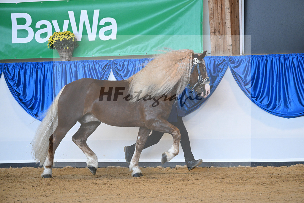 Kat-Nr. 93 Verondo_HLG Schwaiganger_53220572 | hf-fotografie - Realisiert mit Pictrs.com