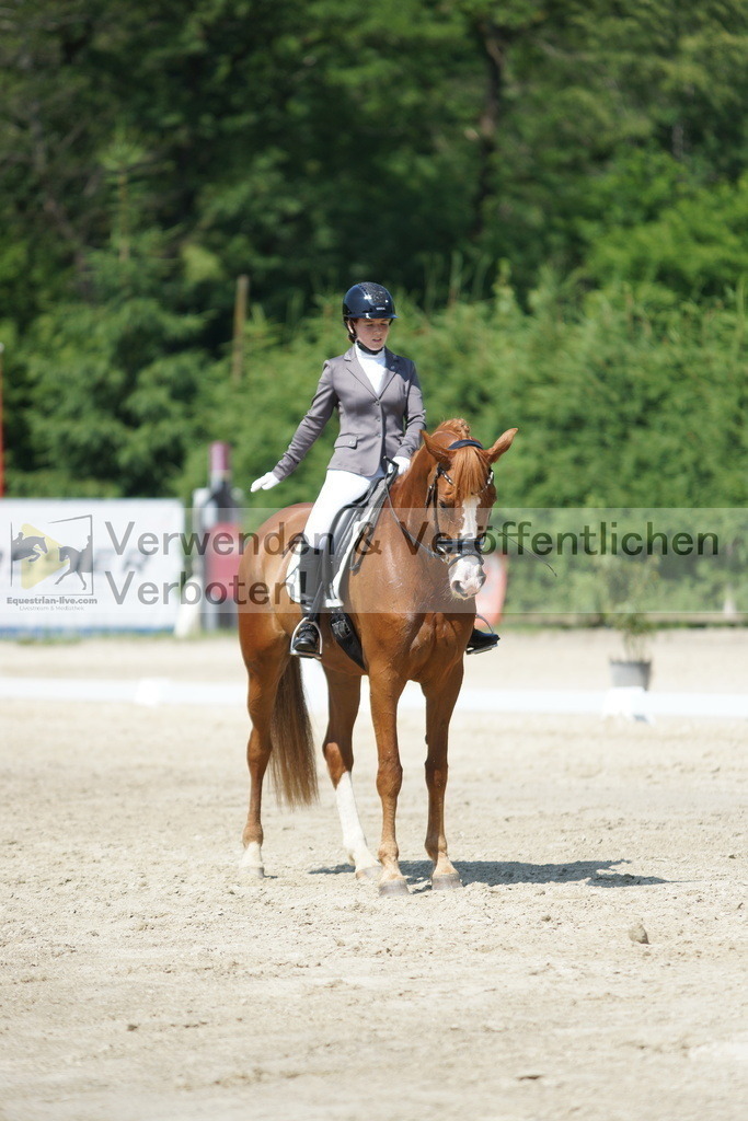 DSC01599 | equestrian-live-com