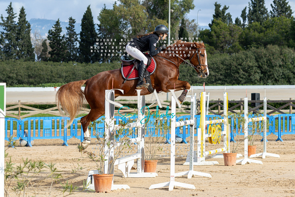 IMG_2031 | s-jay-photography - Realisiert mit Pictrs.com