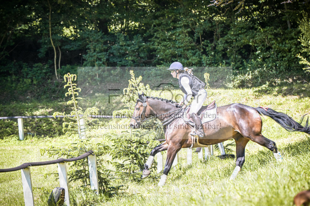 DOS_2976 | Entdecke hochwertige Reitturnierfotos von Foto Oger. Professionell, emotional und authentisch – jetzt Lieblingsmomente im Shop bestellen.Deutschlandweite Turnierfotografie. - Realisiert mit Pictrs.com