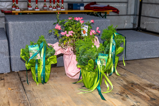 7. Int. Kärnten Marathon 2024 - Adabei | Bildershop von pixelworld.at - Realisiert mit Pictrs.com