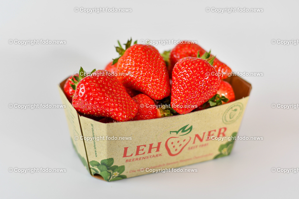 Erdbeeren Lehner_ Haag_ 17.05.2023-24 | 17.05.2023, Haag, AUT, Erdbeeren Lehner, im Bild Erdbeeren