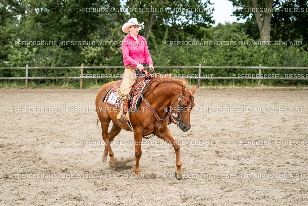 DSC02178 | Pferdegrafie