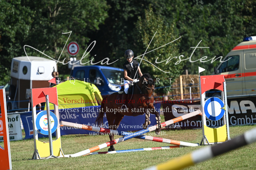 DSC_5218 | Pferde- und Turnierfotografie in Westsachsen. Pferdeportraits, Auftragszeichnungen und intuitive Kunst.