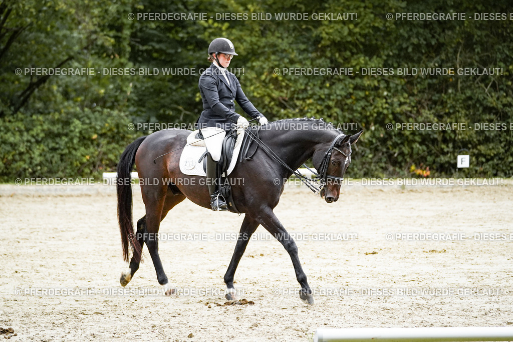 DSC00455 | Pferdegrafie