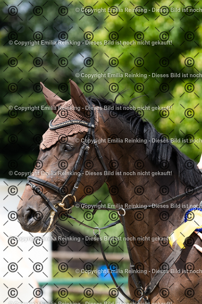 CL5A7137 | Emilia Reinking Fotografie - Realisiert mit Pictrs.com