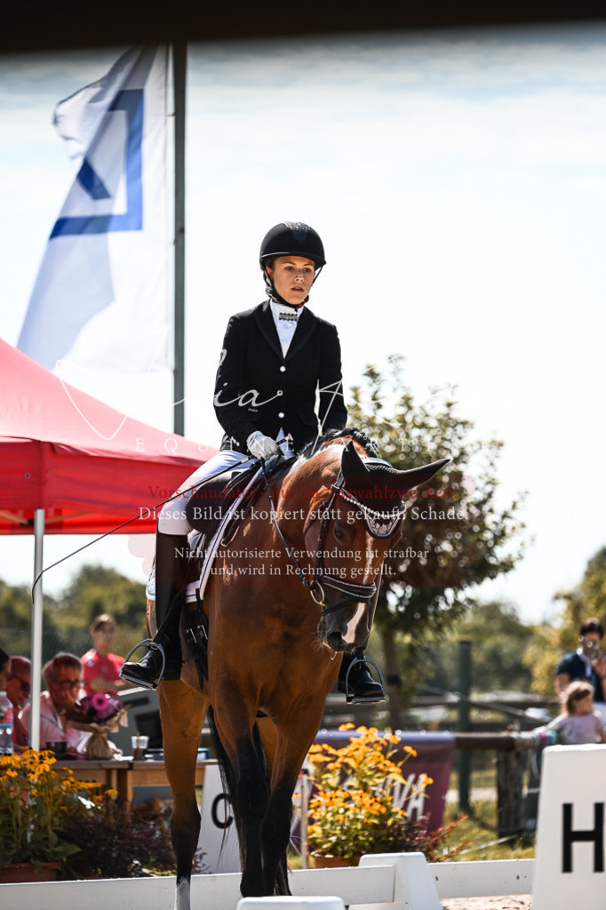 DSC_5050 | Pferde- und Turnierfotografie in Westsachsen. Pferdeportraits, Auftragszeichnungen und intuitive Kunst.