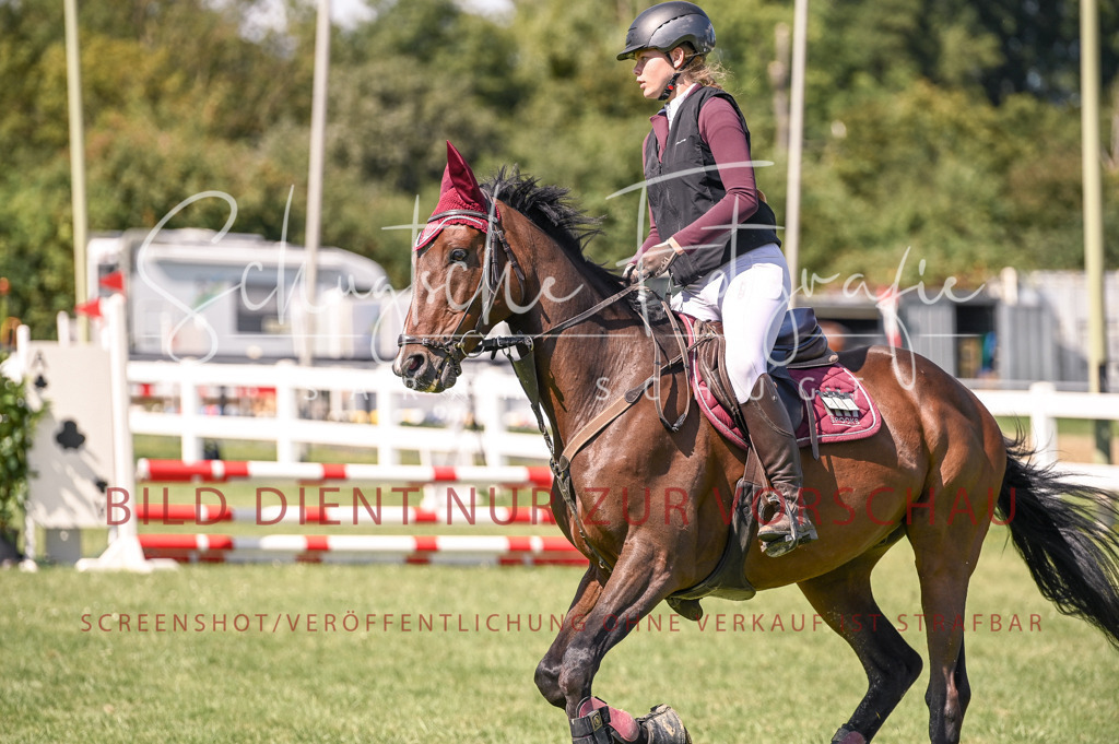 Schugtsche-Düren.2024-05.Springprf.E-26 | Schugtsche Fotografie - Realisiert mit Pictrs.com