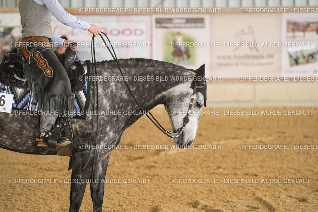 DSC03570 | Pferdegrafie