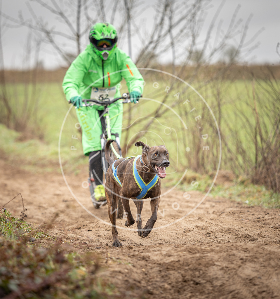 DV3A9416 | Hundefotografie, Tierfotograf, Pfotenfotografie, Fotoshooting Hund, Hunde Portrait, Hundesport, Hundeportraits, Heideshooting, Hunde, Sportfotograf, Hundefotograf, Turnierhundsport, THS,  - Realisiert mit Pictrs.com