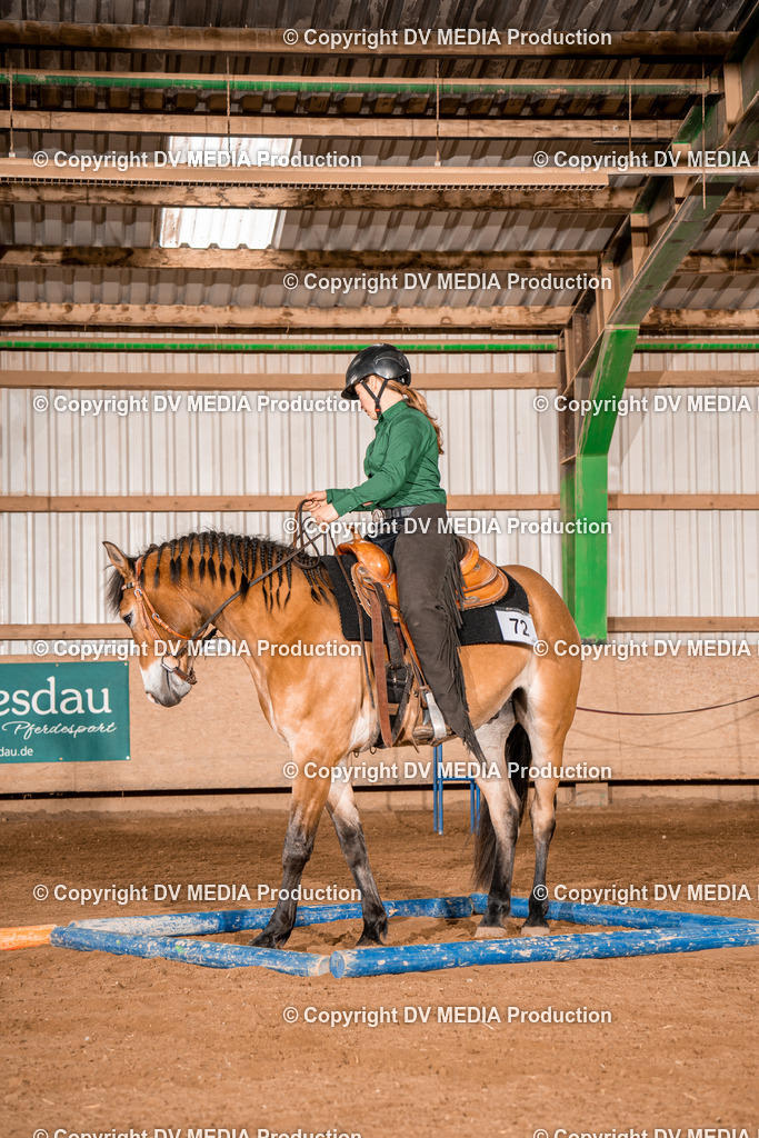 BA300629 | dv-media-shop - Realisiert mit Pictrs.com