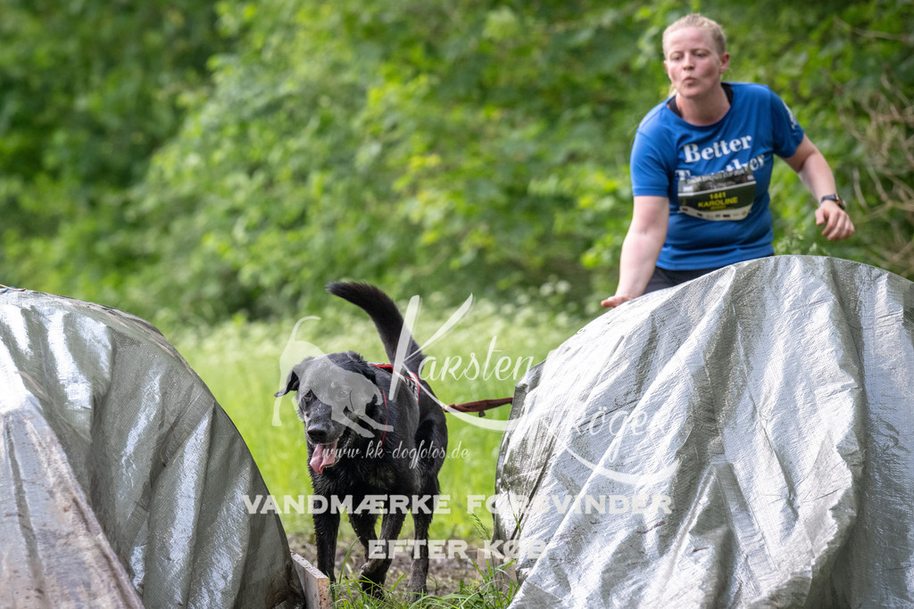 1245_ZZ93309 | kk-dogfotos