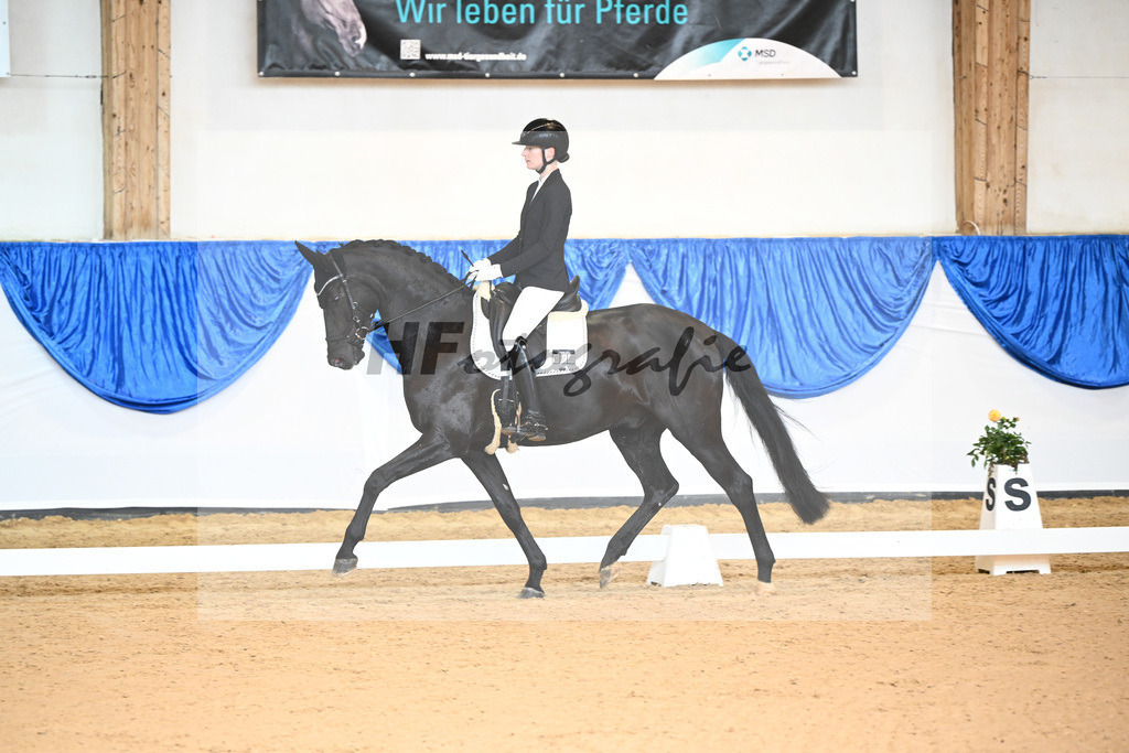 Kat-Nr. 78 Folly Pleasure_Pitkowitz_14241011 | hf-fotografie - Realizzato con Pictrs.com