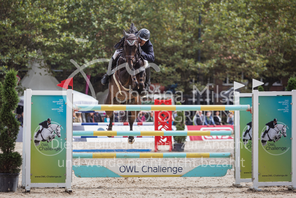 220911_OWLCh_GroßerPreis-516 | Deine schönsten Turniermomente als professionelle Fotos! Entdecke hochwertige Pferdesport-Fotografie im Online-Shop. Jetzt Fotos finden & bestellen!