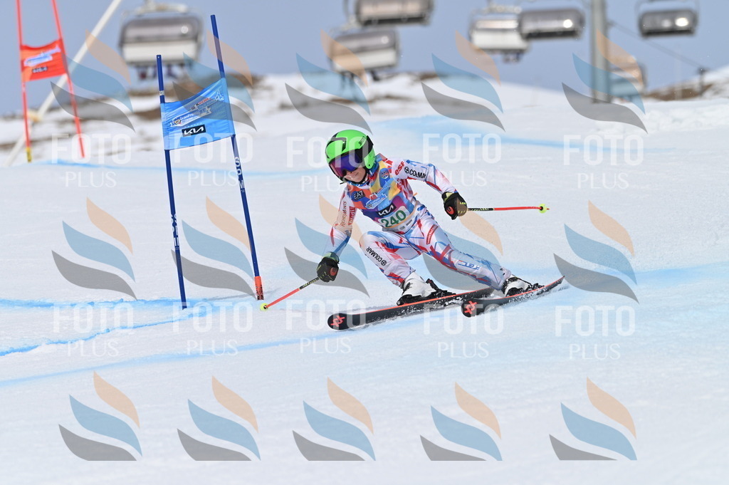 BGV_4753 | holidayphoto