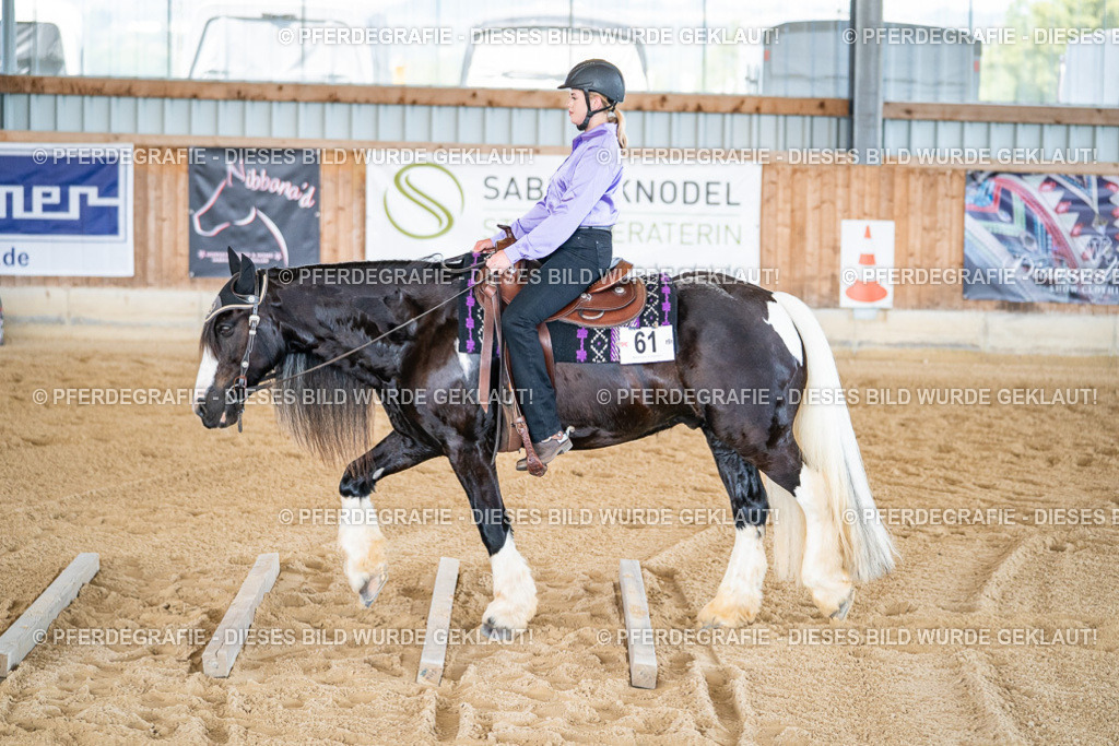 DSC03200 | Pferdegrafie