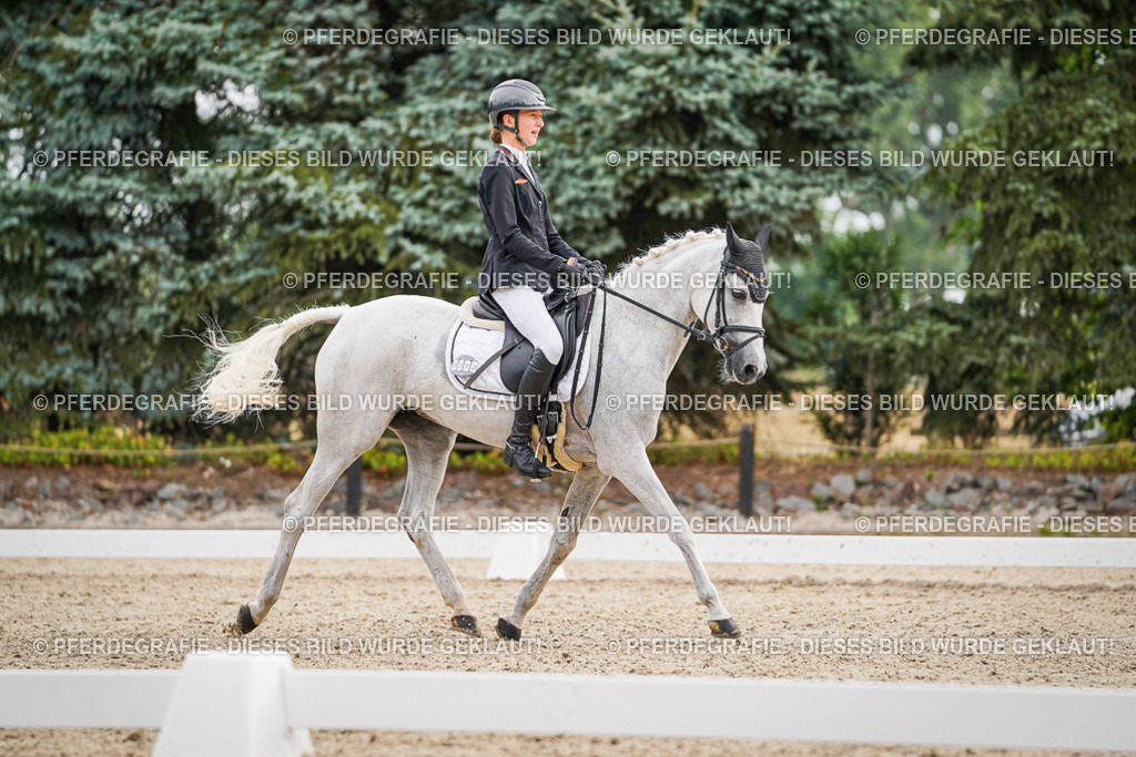 DSC02168 | Pferdegrafie