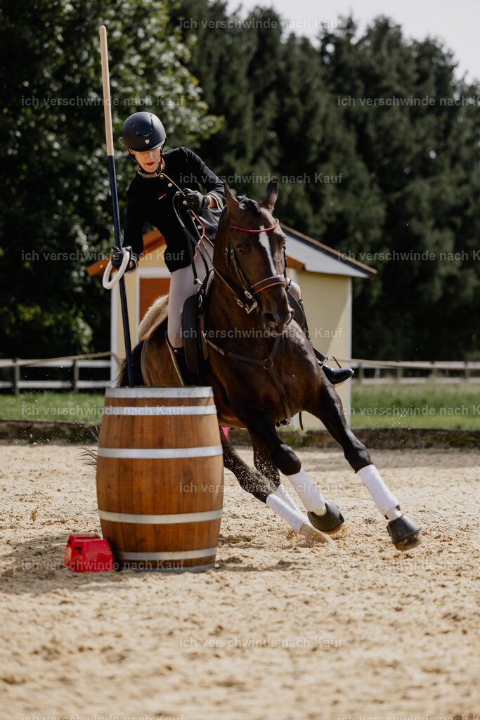 Virginie12FHC2025-20657 | working equitationturnier fotograf videograf stoibphotography marixx film working equitation deutschland reitsport turnierfotografie eventfotografie equestrian events