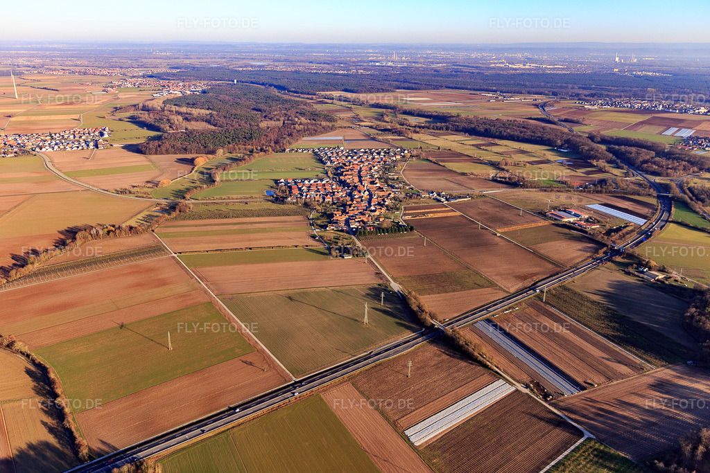Luftbild: Dorfansicht von Nordwesten jenseits der A65 in Erlenbach bei Kandel im Bundesland Rheinland-Pfalz in Deutschland. Foto: IMG_125645.jpg vom 21.02.2021 durch Werner Riehm/FLY-FOTO.de