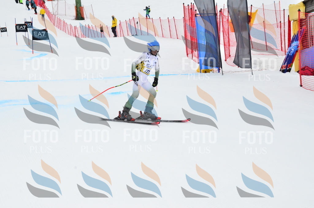 _ELE3913 | holidayphoto