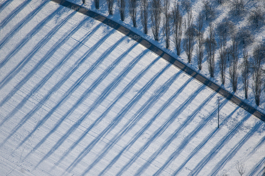 4043109 | winterliche Baumstrukturen beim Weingut Benz bei Beckstein