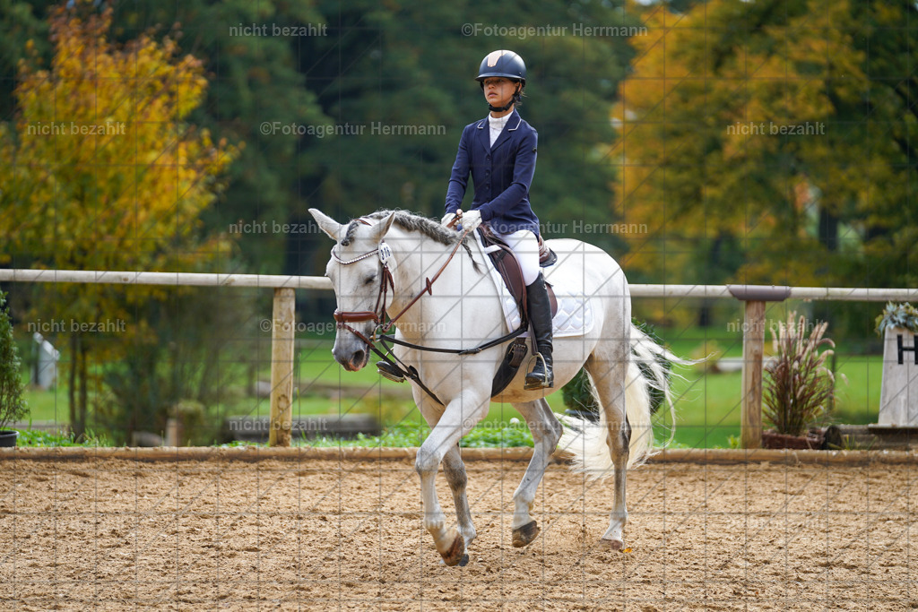 20221008-FAH01200 | Diessen am Ammersee, 2022, Dressur- und Springturnier, Reitsportbilder, Turnierfotografen Bayern, Pferdefotografen, Fotoagentur Herrmann, Turnierbilder