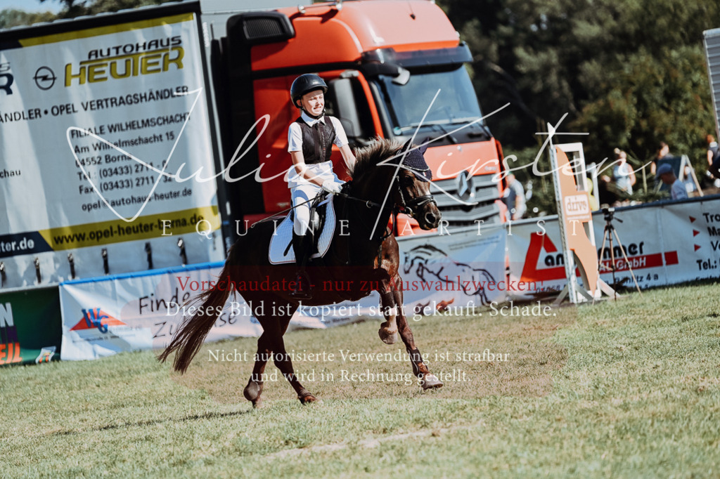 DSC_6913 | Pferde- und Turnierfotografie in Westsachsen. Pferdeportraits, Auftragszeichnungen und intuitive Kunst.