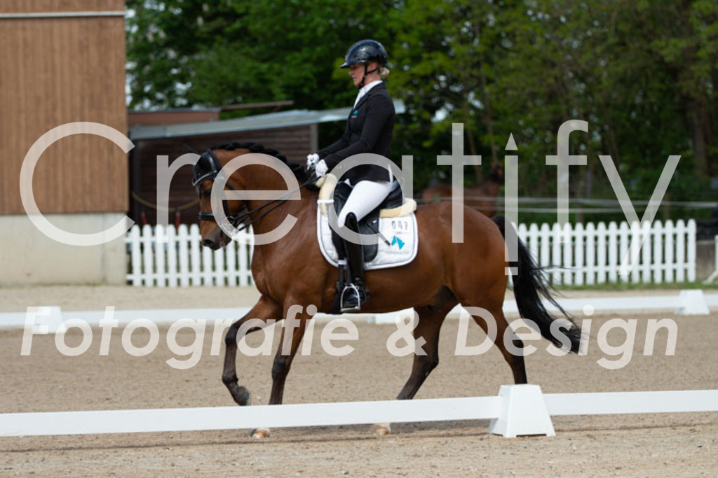 IMG_5586 | Creatify Fotografie