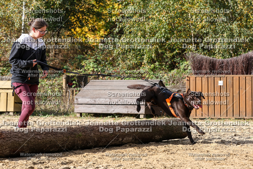 Dog Paparazzi - Strongdog 10-25-5054 | Dog Paparazzi Jeanette Grottendiek Fotografie & Videografie - Realisiert mit Pictrs.com