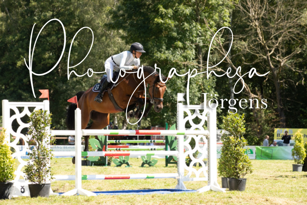 IMG_9141 | photographesa-joergens - Realisiert mit Pictrs.com