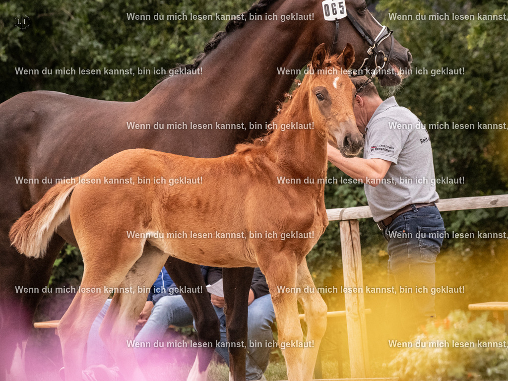 A10I6750 | photographylinaismer - Realisiert mit Pictrs.com