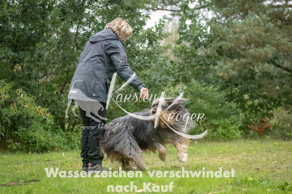 0950_ZZ90917-Bearbeitet | kk-dogfotos
