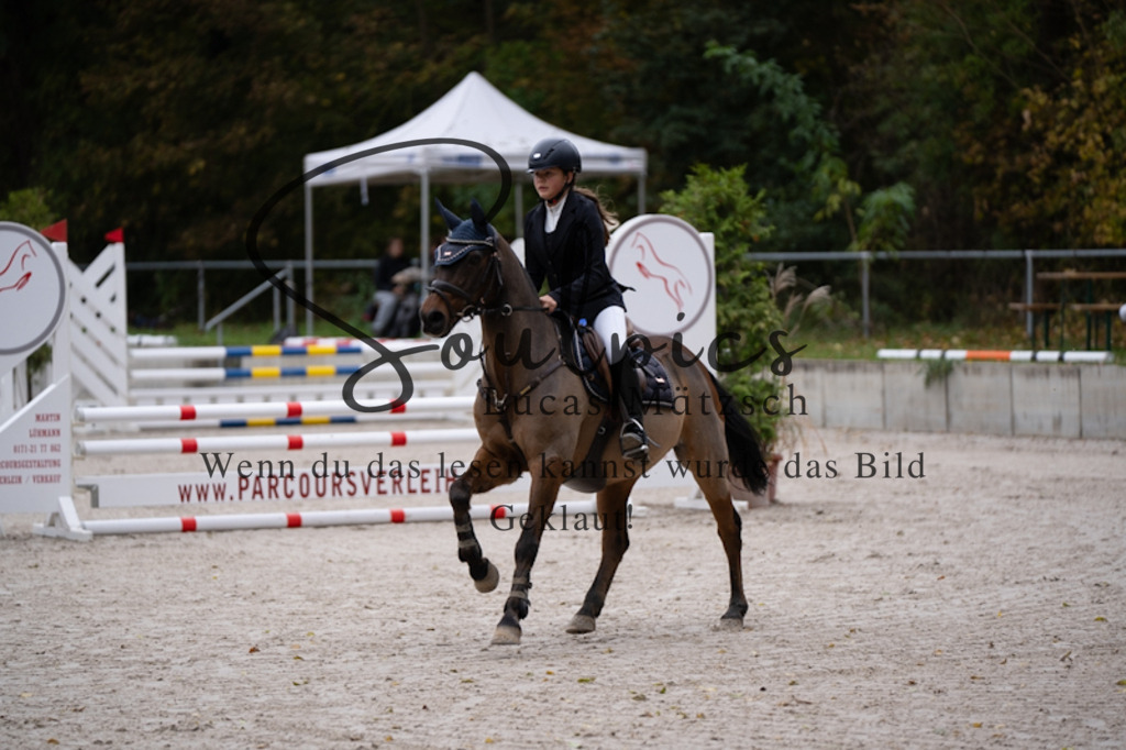 A7V09642 | Pferdefotograf