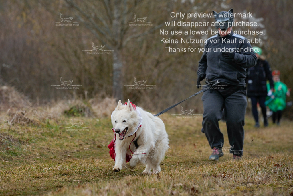 Fasching-34 | stephaniefillaphotographie - Realisiert mit Pictrs.com