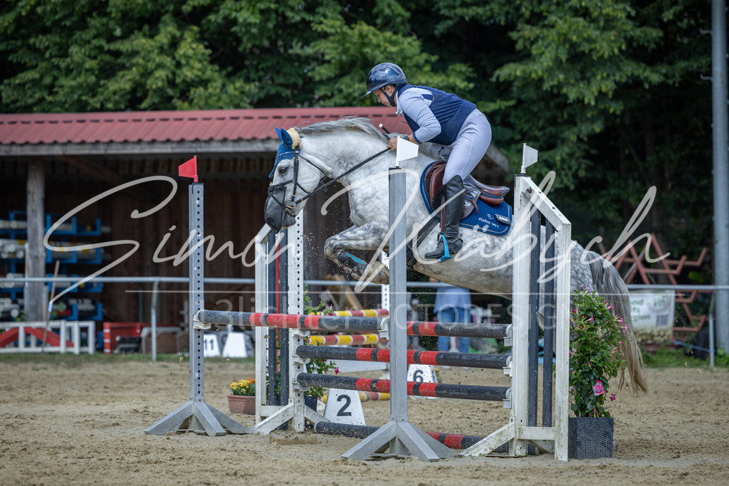 20260704-_3LI0672 | Tierfotografie Pferde, Hunde, Katzen, Haustiere.
Turnierfotografie Reitturniere, Reiten, Springreiten, Dressur in Hanau, dem Main-Kinzig-Kreis und dem Rhein-Main- Gebiet um Frankfurt
