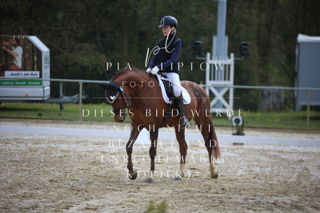 IMGT2254 | pl-fotografie