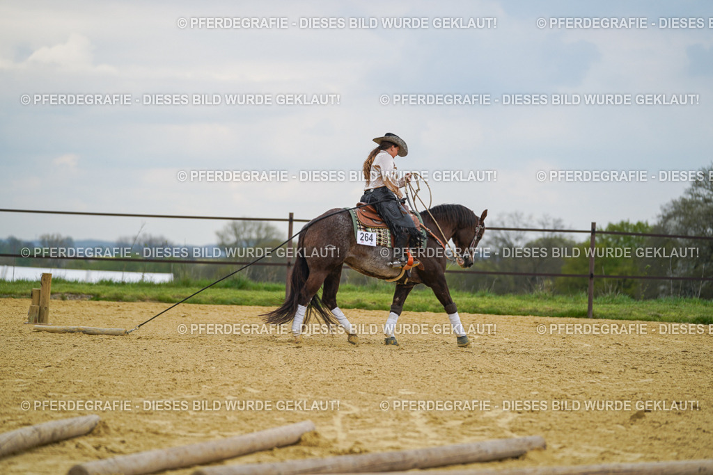 DSC07395 | Pferdegrafie