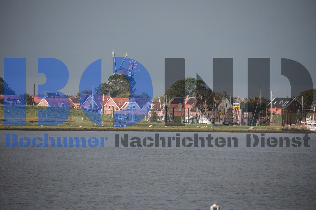 SES_EMDDIS20250920-14 | bond - Realisiert mit Pictrs.com