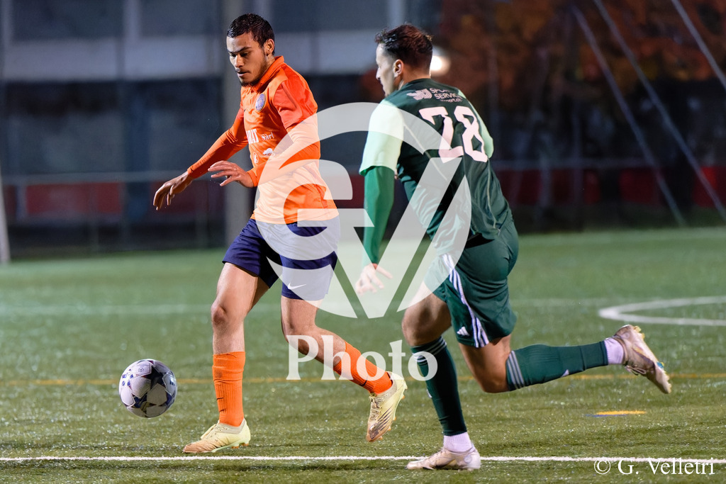 DSC_5871 | Velletri Photo