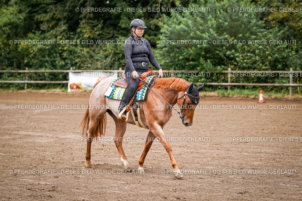 DSC05690 | Pferdegrafie