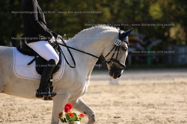 HG9A8585 | laurarinckfotografie - Realisiert mit Pictrs.com