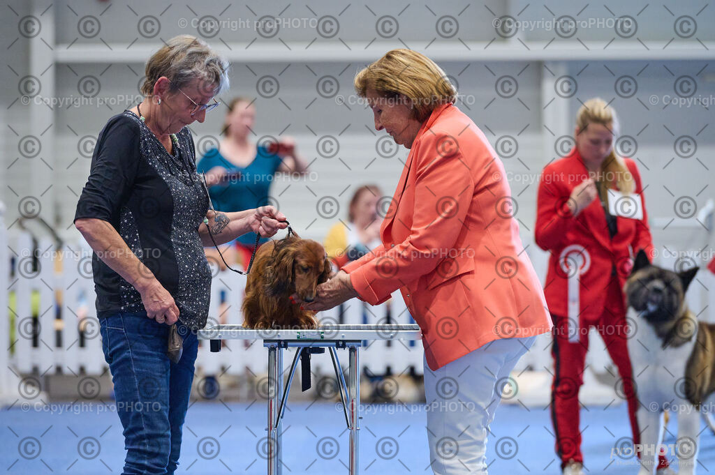 202406_ÖKV-IHA-Tulln24_DSC_5333 | proPHOTO - Realisiert mit Pictrs.com