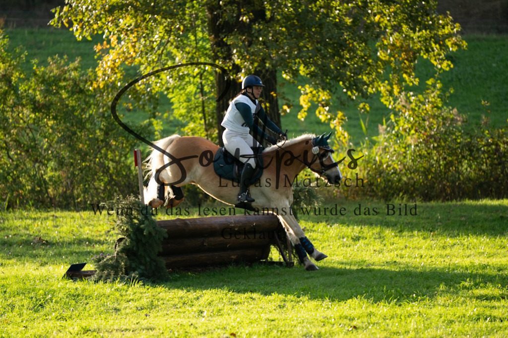 A7V02844 | Pferdefotograf