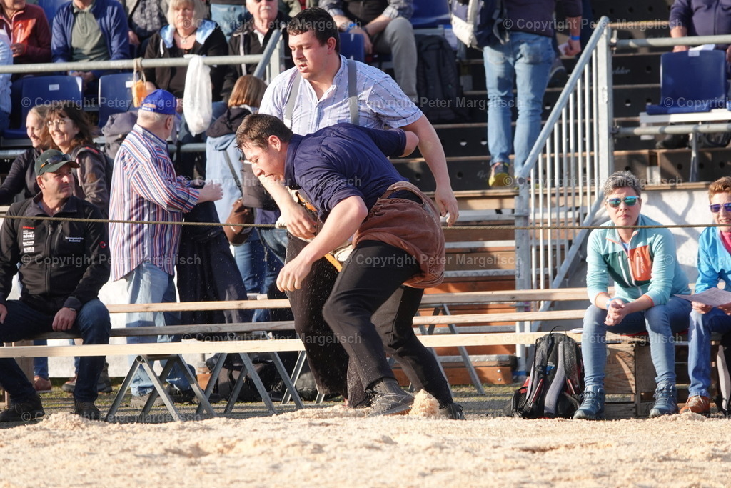 DSC03565 | Schwingen - Realisiert mit Pictrs.com
