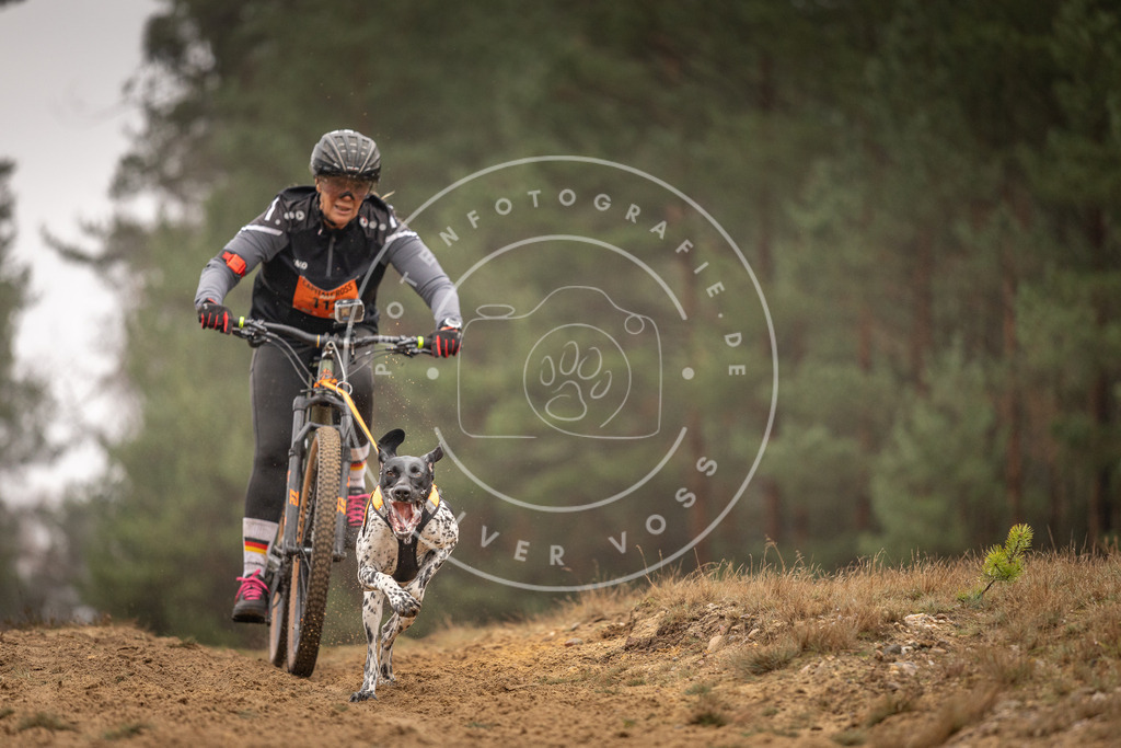 Pfotenfotografie_DV3A3379 | Hundefotografie, Tierfotograf, Pfotenfotografie, Fotoshooting Hund, Hunde Portrait, Hundesport, Hundeportraits, Heideshooting, Hunde, Sportfotograf, Hundefotograf, Turnierhundsport, THS,  - Realisiert mit Pictrs.com