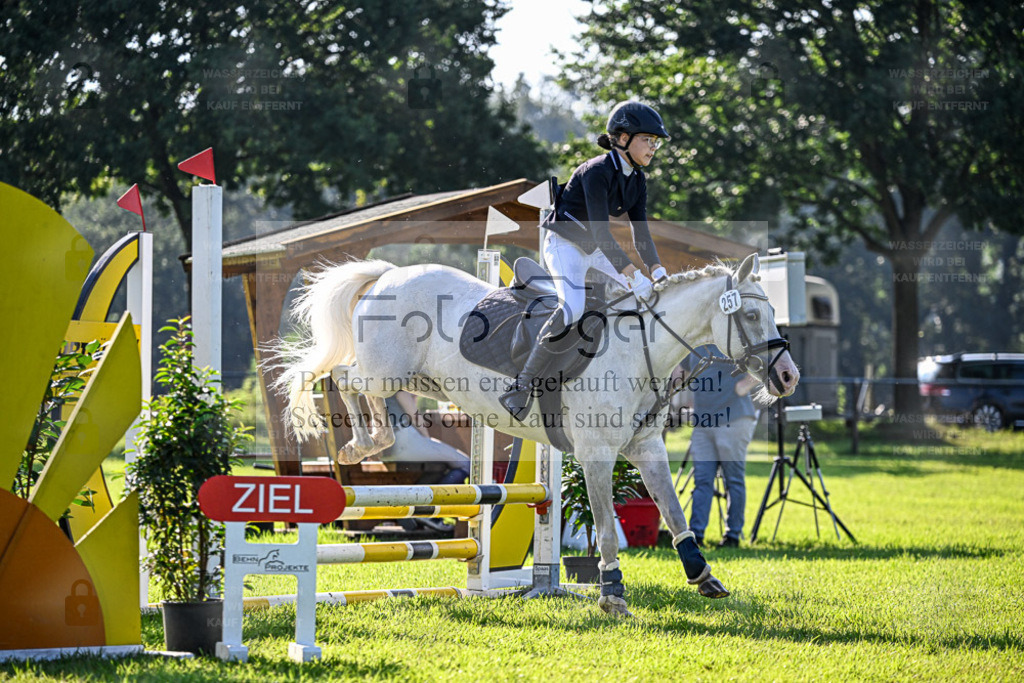 Reitturnier Hasbergen | Entdecke hochwertige Reitturnierfotos von Foto Oger. Professionell, emotional und authentisch – jetzt Lieblingsmomente im Shop bestellen. - Realisiert mit Pictrs.com