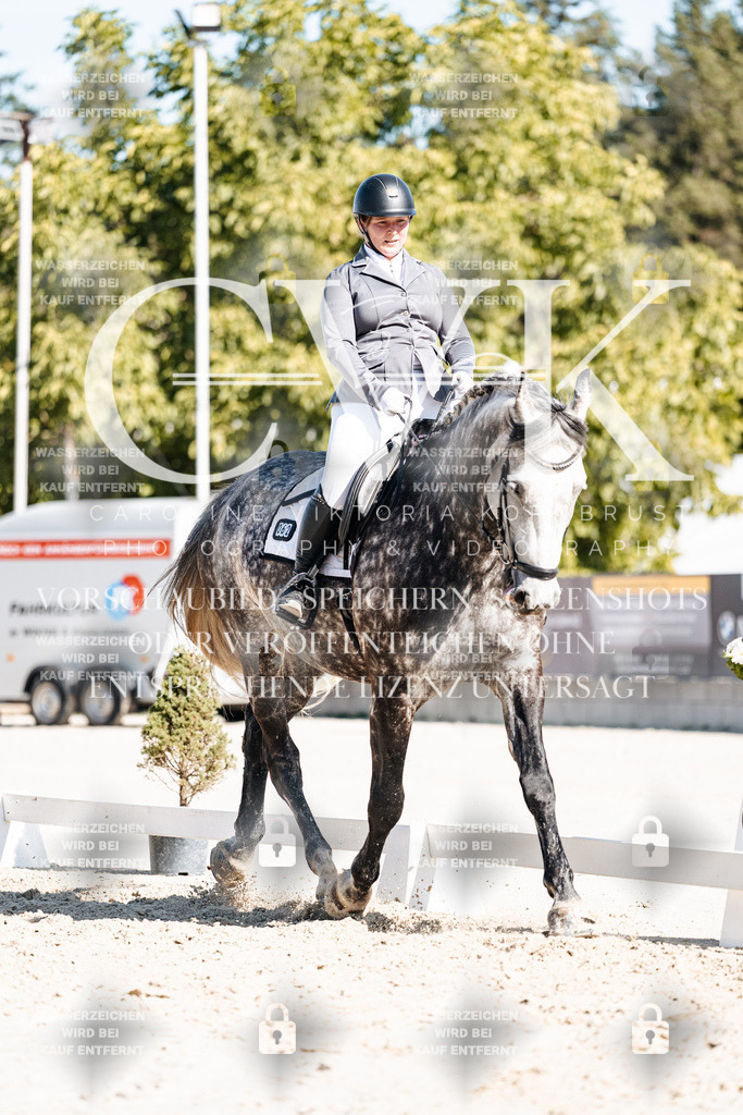 CK908356 | Turnierfotografie Pferdefotografie Trier Rheinland-Pfalz Pferdesport Reitsport Tierfotografie Sportfotografie Pferdevideo Pferdevideografie Equestrianvideography equestrianphotography  - Realisiert mit Pictrs.com