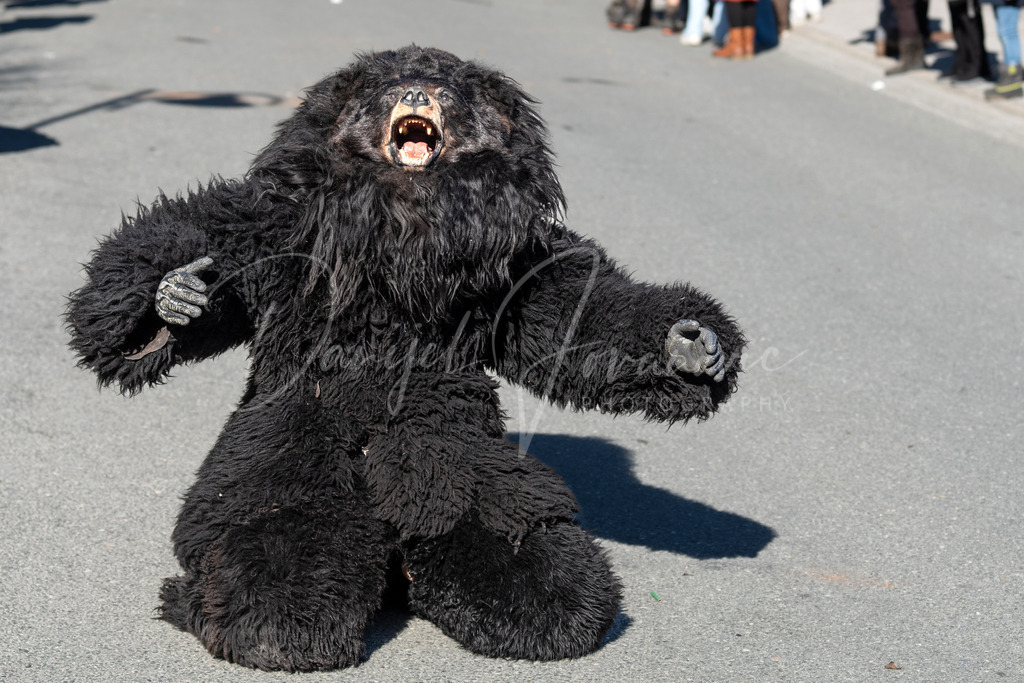 Rumer Muller | Umzug der Rumer Muller 2023