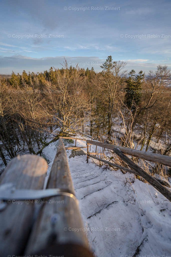 Waldstein-2024-1 | Robin Zinnert - Realisiert mit Pictrs.com