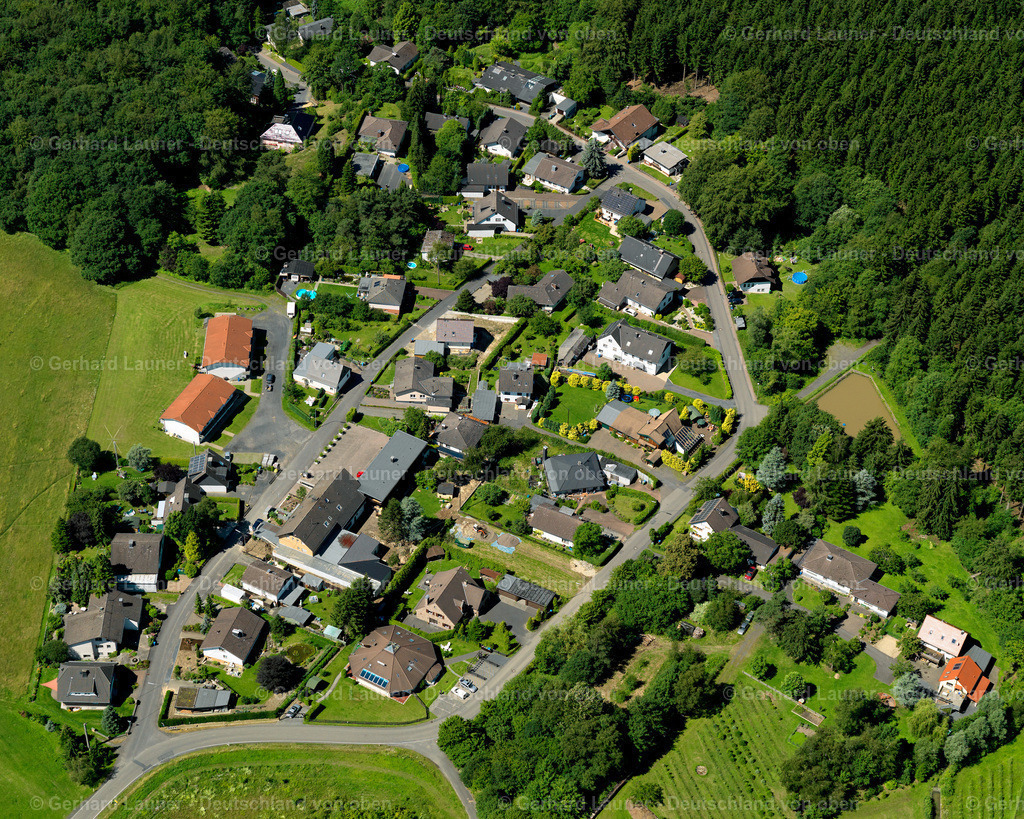 3120166 | Köhlershohn